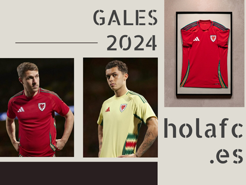 Camiseta Gales 2024