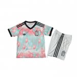 Camiseta Belgica Segunda Nino 2026