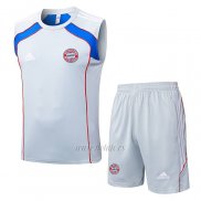 Chandal del Bayern Munich Sin Mangas 2025-2026 Gris