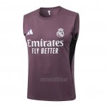 Camiseta de Entrenamiento Real Madrid Sin Mangas 2025-2026 Gris Purpura