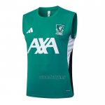 Camiseta de Entrenamiento Tottenham Hotspur Sin Mangas 2025-2026 Verde