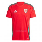 Camiseta Gales Primera 2024