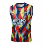 Camiseta de Entrenamiento Arsenal Sin Mangas 2025-2026 Azul Rojo Amarillo