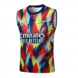 Camiseta de Entrenamiento Arsenal Sin Mangas 2025-2026 Azul Rojo Amarillo