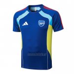 Camiseta de Entrenamiento Arsenal 2025-2026 Azul