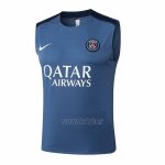 Camiseta de Entrenamiento Paris Saint-Germain Sin Mangas 2025-2026 Gris
