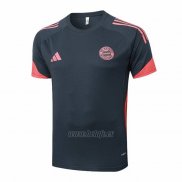 Camiseta de Entrenamiento Bayern Munich 2025-2026 Gris Oscuro