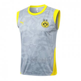 Camiseta de Entrenamiento Borussia Dortmund Sin Mangas 2025-2026 Gris