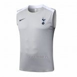 Camiseta de Entrenamiento Tottenham Hotspur Sin Mangas 2025-2026 Gris