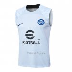 Camiseta de Entrenamiento Inter Milan Sin Mangas 2024-2025 Azul