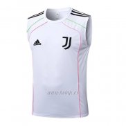 Camiseta de Entrenamiento Juventus Sin Mangas 2025-2026 Rojo