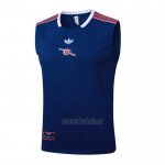 Camiseta de Entrenamiento Arsenal Sin Mangas 2025-2026 Azul