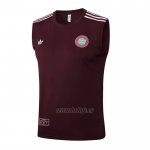 Camiseta de Entrenamiento Bayern Munich Sin Mangas 2025-2026 Rojo