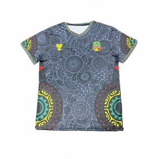 Tailandia Camiseta Mali Special 2025-2026 Gris