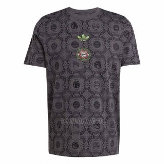 Camiseta Pre Partido del Bayern Munich 2025-2026 Gris