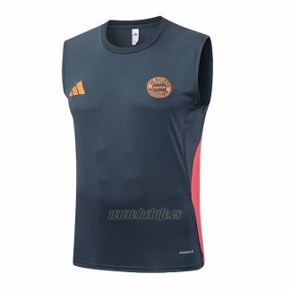 Camiseta de Entrenamiento Bayern Munich Sin Mangas 2025-2026 Gris Oscuro